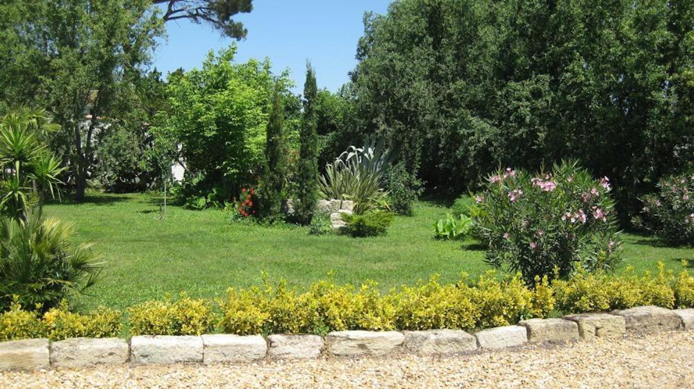 Chambre Seville - Mas Saint-Louis - Piscine Chauffee Aigues-Mortes Kültér fotó